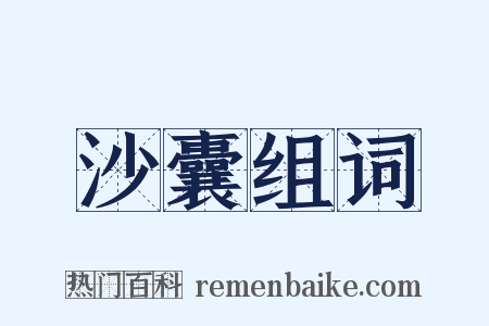 沙囊组词是什么意思的图片